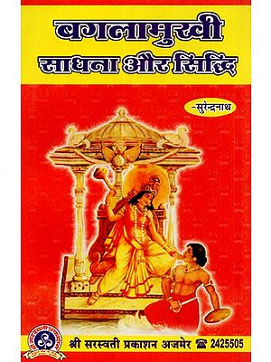 बगलामुखी साधना और सिद्धि  - Bagalamukhi Sadhana and Siddhi