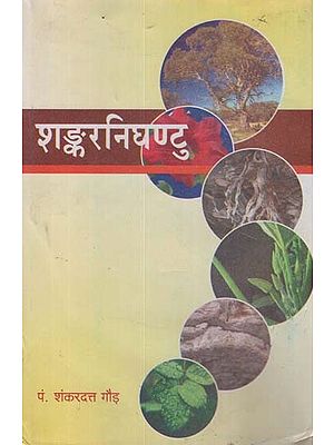 शंकरनिघण्टु - Shankar Nighantu (An Old Book)