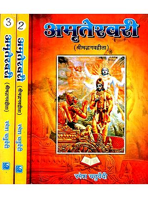 अमृतेश्वरी- Amriteshwari- Shrimad Bhagavad Gita ÿ(Set Of 3 Volumes)