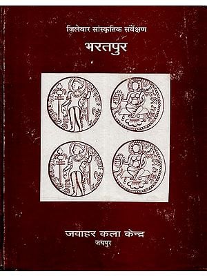 ज़िलेवार सांस्कृतिक सर्वेक्षण भरतपुर - District Wise Cultural Survey Bharatpur (An Old And Rare Book)