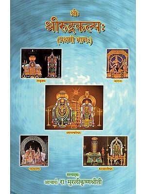 श्रीरूद्रकल्प:- Sri Rudra Kalpa (Part-I)