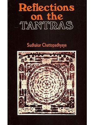 Reflections on the Tantras