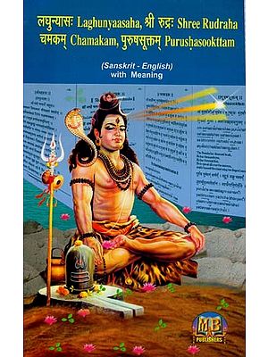 लघुन्यासम्, श्री रुद्रम्, चमकम्, पुरुषसूक्तम्- Laghunyaasaha, Shree Rudraha, Chamakam, Purushasooktam (Sanskrit - English With Meaning)
