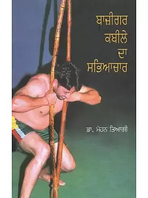 Bazigar Kabile Da Sabhiachar (Punjabi)