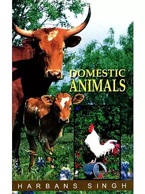 Domestic Animals