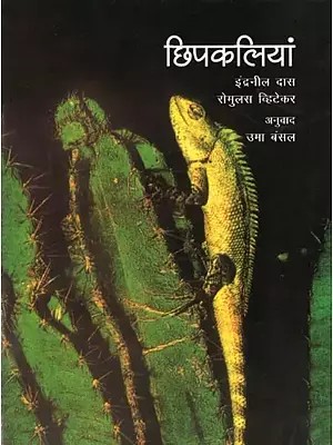 छिपकलियां- Lizards