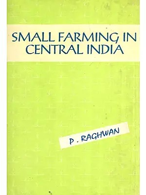 Small Farming In Central India