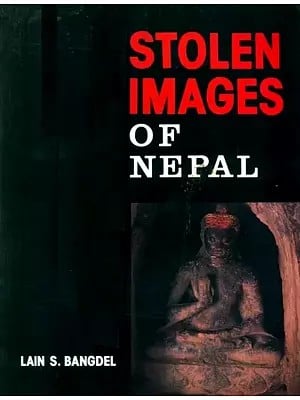 Stolen Images of Nepal