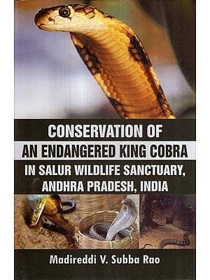 Conservation of An Endangered King Cobra In Salur Wildlife Sanctuary