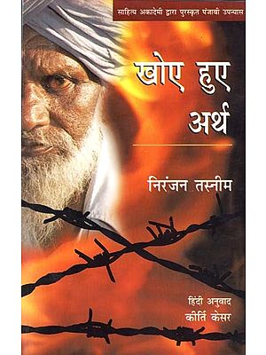 खोए हुए अर्थ: Lost Meaning (Punjabi Novel Awarded By Sahitya Akadmi)