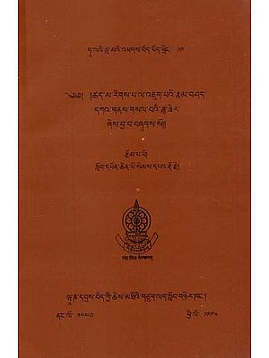 Commentary of Nyayapravesa: Tse-ma Rigs-pa la 'Jug-pa' I rNam-bSad dKah gNas gSal ba'I zla zer (An Old and Rare Book)