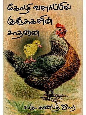 கோழி வளர்ப்பில் குஞ்சுகளின் சாதனை- Achievement of Chicks in Poultry Farming (Tamil)