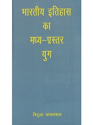 भारतीय इतिहास का मध्य- प्रस्तर युग: Middle Stone Age of Indian History