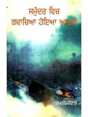 ਸਮੁੰਦਰ ਵਿਚ ਗਵਾਚਿਆ ਹੋਇਆ ਆਦਮੀ: ਨਾਵਲ- The Man Lost at Sea: A Novel (Punjabi)