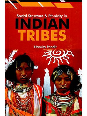 Social Structure and Ethnicity in Indian Tribes