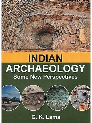 Indian Archaeology: Some New Perspectives