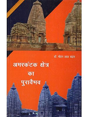 अमरकंटक क्षेत्र का पुरावैभव- Antiquities of Amarkantak Region