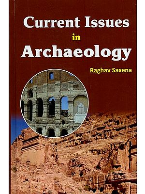 Current Issues in Archaeology