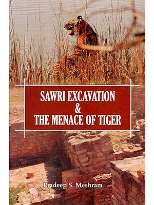 Sawri Excavation & The Menace of Tiger