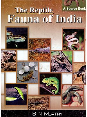 The Reptile Fauna of India