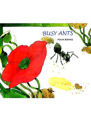 Busy Ants