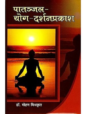 पातञ्जल- योग- दर्शनप्रकाश: Patanjali - Yoga - Darshan Prakash