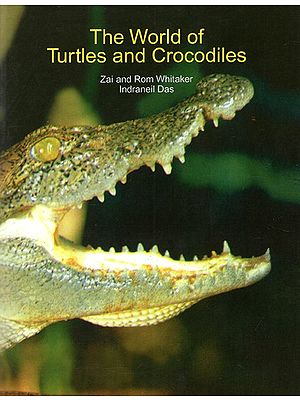 The World of Turtles And Crocodiles