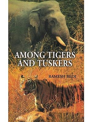 Among Tigers And Tuskers