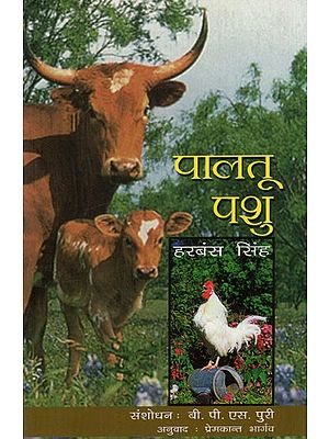 पालतू पशु: Domestic Animal