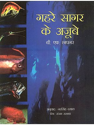 गहरे सागर के अजूबे- Wonders of the Deep Sea