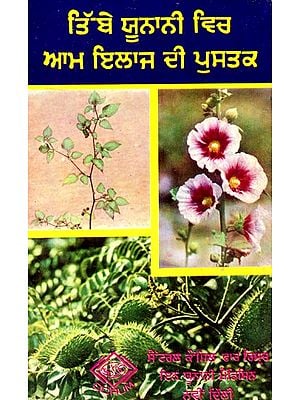 ਤਿੱਬੇ ਯੂਨਾਨੀ ਵਿਚ ਆਮ ਇਲਾਜ ਦੀ ਪੁਸਤਕ: A Handbook of Common Remedies in Unani System of Medicine (Punjabi) (An Old And Rare Book)