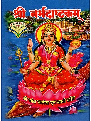 श्री नर्मदाष्टकम्: Sri Narmada Ashtakam