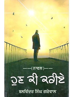 ਹੁਣ ਕੀ ਕਰੀਏ (ਨਾਵਲ)- What To Do Now (Novel in Punjabi)