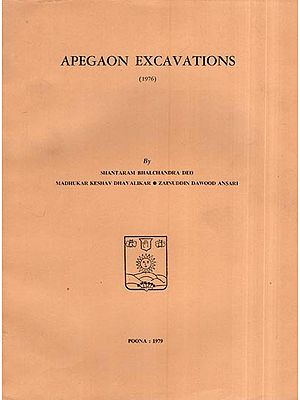 Apegaon Excavations (Report of the Excavation at Apegaon : 1976 An Old and Rare Book)