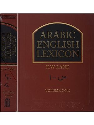 Arabic English Lexicon- Dictionary (Set of 2 Volumes)