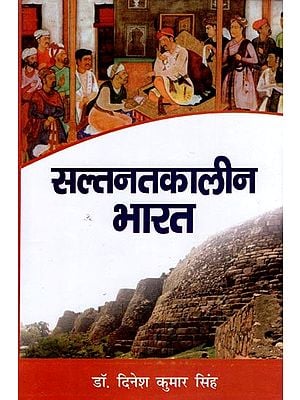 सल्तनतकालीन भारत- India During Delhi Sultanate