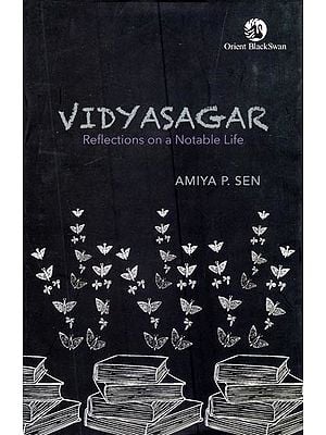 Vidyasagar: Reflections on a Notable Life