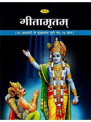 गीतामृतम्: Gitamritam (Mainly Selected 18 Questions from 18 Chapters)