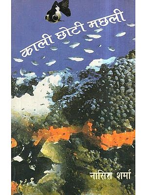 काली छोटी मछली- Black Minnow (Stories of Iran's Revolutionary Writing Samad Behrangi)