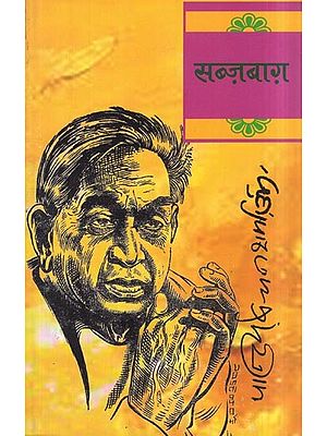 सब्ज़बाग़- Sabzabagh (A Novel)