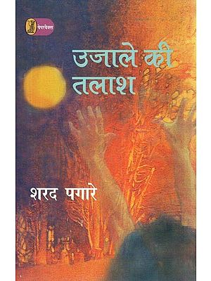 उजाले की तलाश- Looking for Light (A Novel)