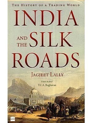 India and The Silk Roads (The History of a Trading World)