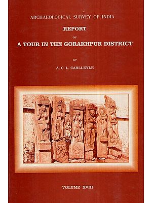 ASI Report of A Tour in the Gorakhpur District (Volume XVIII)