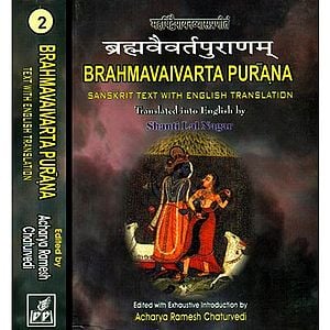 Complete 18 Puranas (Set Of 86 Books): Sanskrit Text And English ...