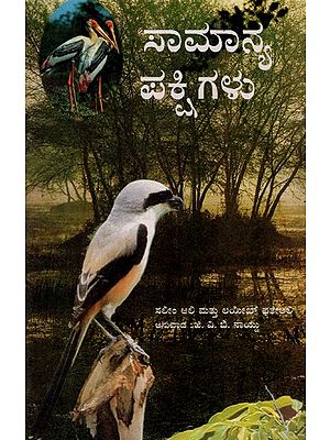 Common Birds (Kannada)