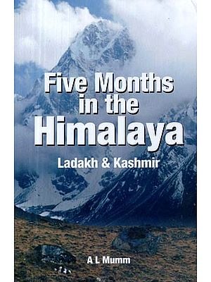 Five Months in the Himalaya: Ladakh & Kashmir