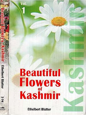 Beautiful Flowers of Kashmir