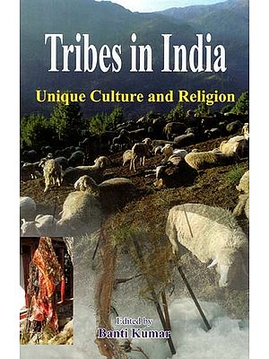 Tribes in India Unique Culture and Religion
