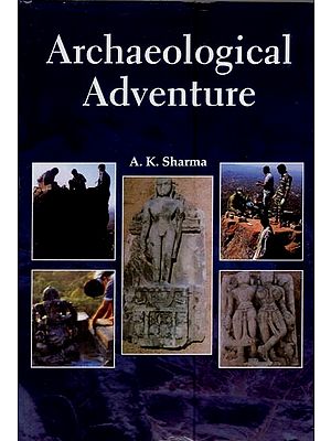 Archaeological Adventure