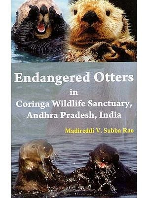 Endangered Otters in Coringa Wildlife Sancturay, Andhra Pradesh, India